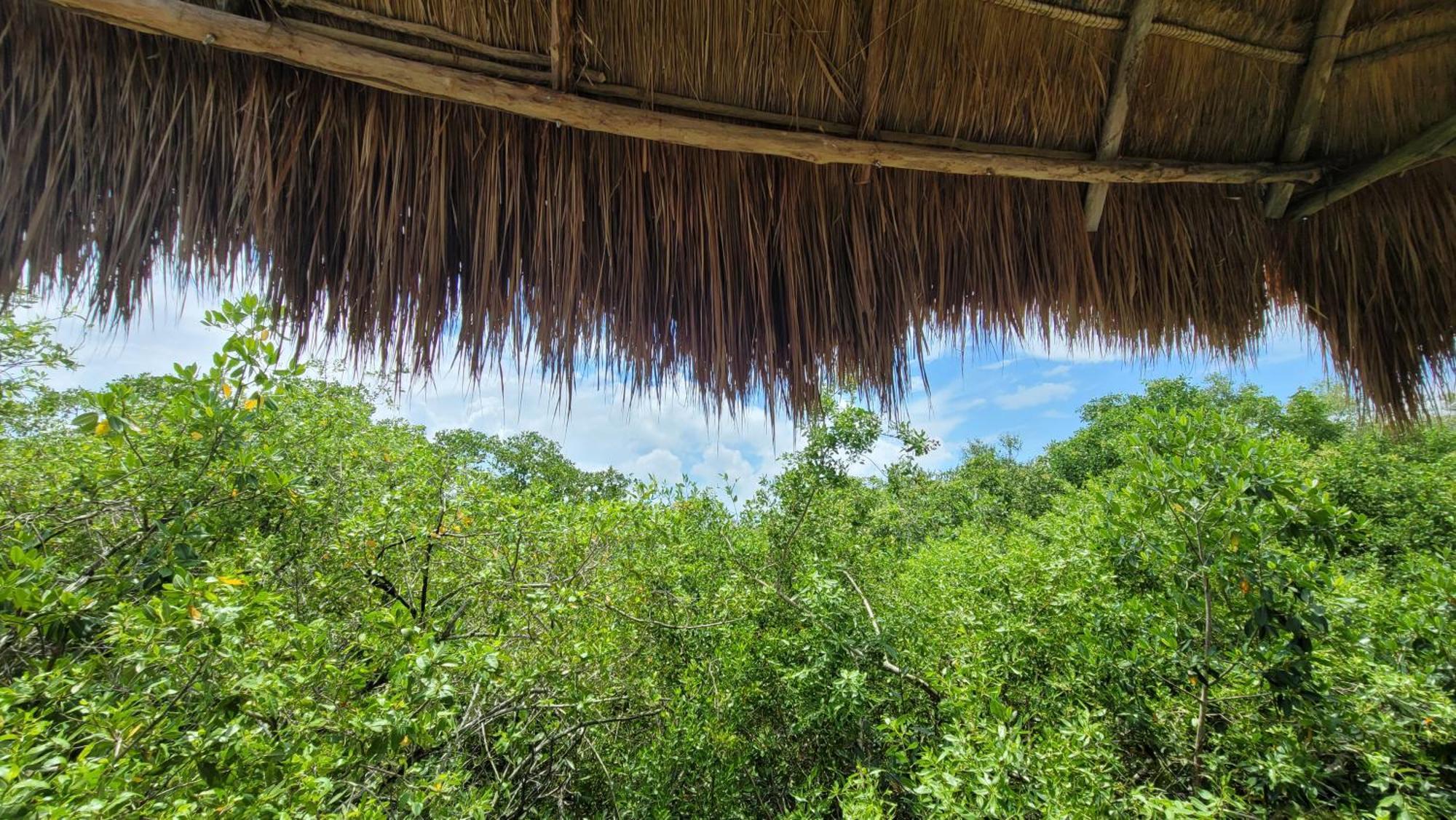 Hotel Cormoran Tulum & Cenote Exteriér fotografie